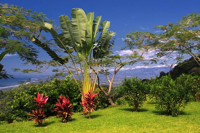 053 Pura Vida Garden, Costa Rica.JPG